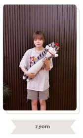 Doll Bazar Black Plush Toy Strip Doll Cat (Option: Grey cat-70cm)