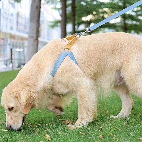 Rainbow Colorblock Pet Harness Set Anti-Escape Vest Type Dog Harness Chest Leash Cotton Designer Puppy Dog Harness Set
