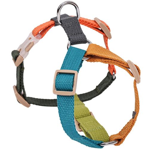 Fresh Six-color H-shaped PET's Chest-back